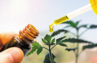CBD Oil: Answering The Queries Concerning How To Take CBD – READ HERE!