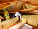What Are Insulation Batts?