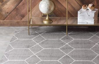 What are the 5 great area rugs for your home?