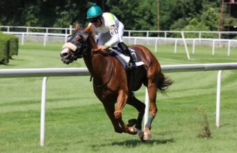 The Best Horse Betting Strategy