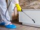 Discover The 6 Main Benefits of Practicing Pest Control Options at Your Houston Home