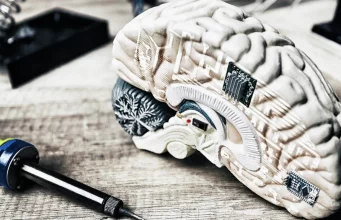 What exactly does Keppra do to the brain?