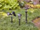 SOLAR LIGHT VS LED LIGHT