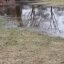 Standing Water