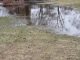 How to Get Rid of Standing Water in Your Yard Standing Water