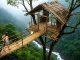 Between leaves and light the forest builds its own quiet home