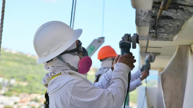 article_14636_featured_1771674164