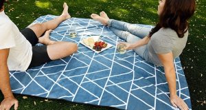 Traveling with Pets: Why a Pet Blanket Makes Trips More Comfortable